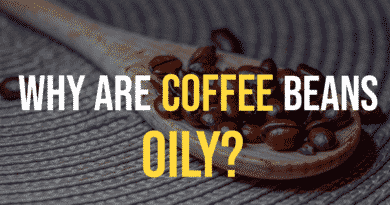 - Oily coffee beans on a wooden spoon. Written Text “Why are Coffee Beans Oily?”