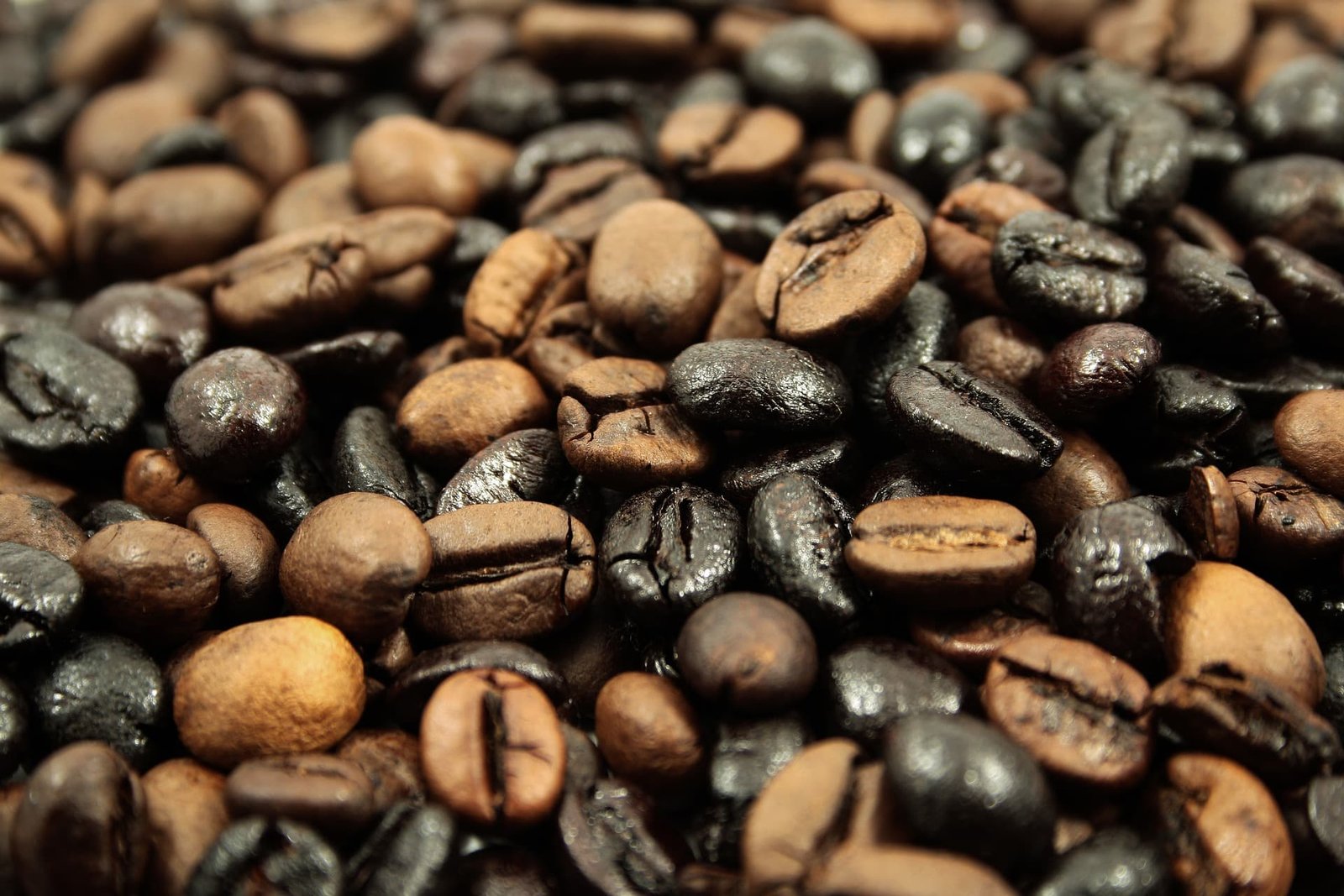 Medium and dark roast coffee beans