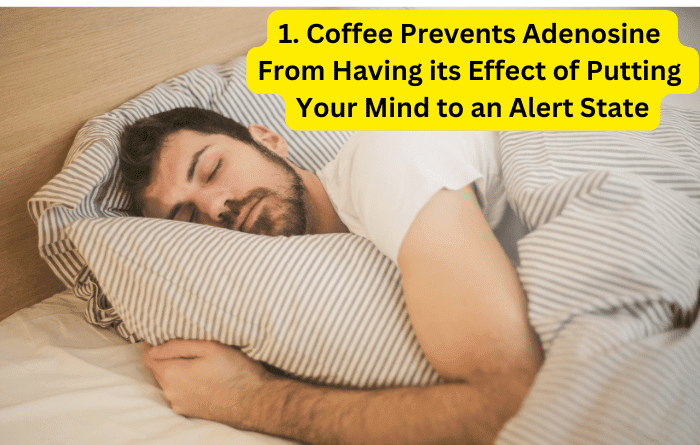 Coffee Prevents Adenosine From Having Its Effects
